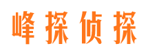 鹿泉婚外情调查取证